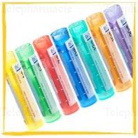 AMMONIUM PHOS Boiron 9CH Gran T/4g