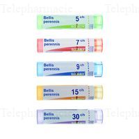 BELLIS PERENNIS