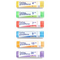 BOIRON CACTUS GRANDIF. 4CH TU.GRAN.