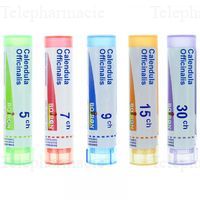 CALENDULA OFFICINALIS