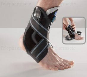 CHEV MALLEO DYNASTAB BOA GRIS 