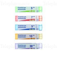 COLCHICUM AUTUMNAL T GRLS 5C 