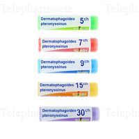 DERMATOPH.PTERON 15CH DO GLOB.