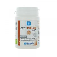 ERGYPHILUS GST GELUL 60