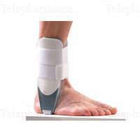 GIBORTHO ORTH STAB CHEV T1 1