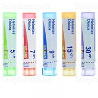 HELONIAS DIOICA 15CH TG BOI