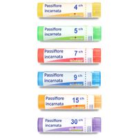 PASSIFLORA INCARNATA