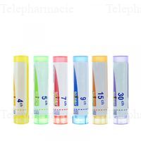 PASSIFLORA INCARNATA