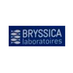 Bryssica